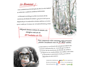 Zoo Aquarium de Madrid - Recinto Chimpancés-Orangutanes